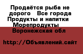 Продаётся рыба не дорого - Все города Продукты и напитки » Морепродукты   . Воронежская обл.